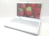 SONY VAIO PCG-71F14N