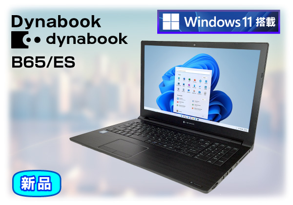 dynabook celeron 4205U SSD256GB HDD1TB | www.jarussi.com.br
