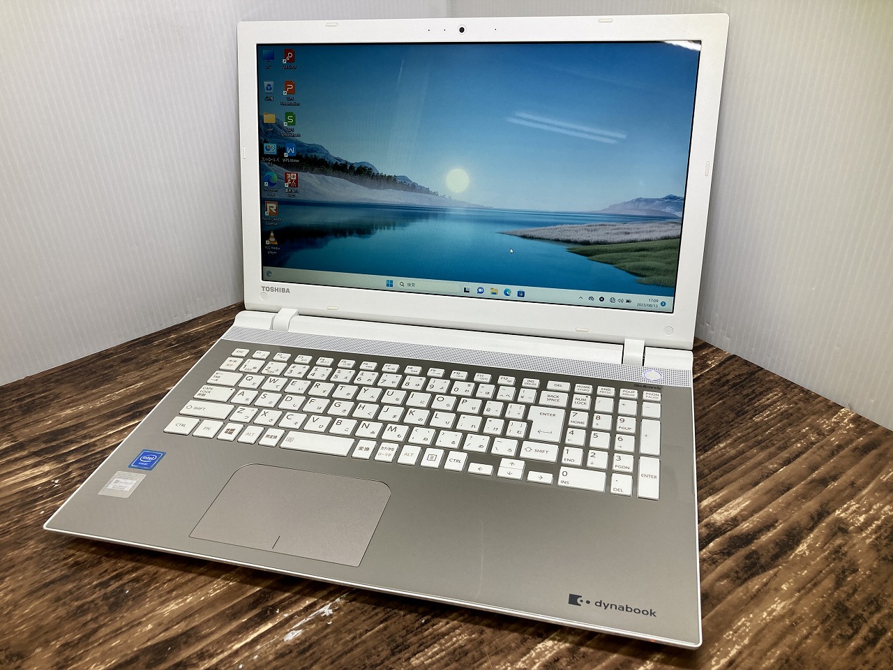 dynabook PT45TGS-SWA3
