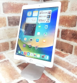 Apple iPad MW742J/A
