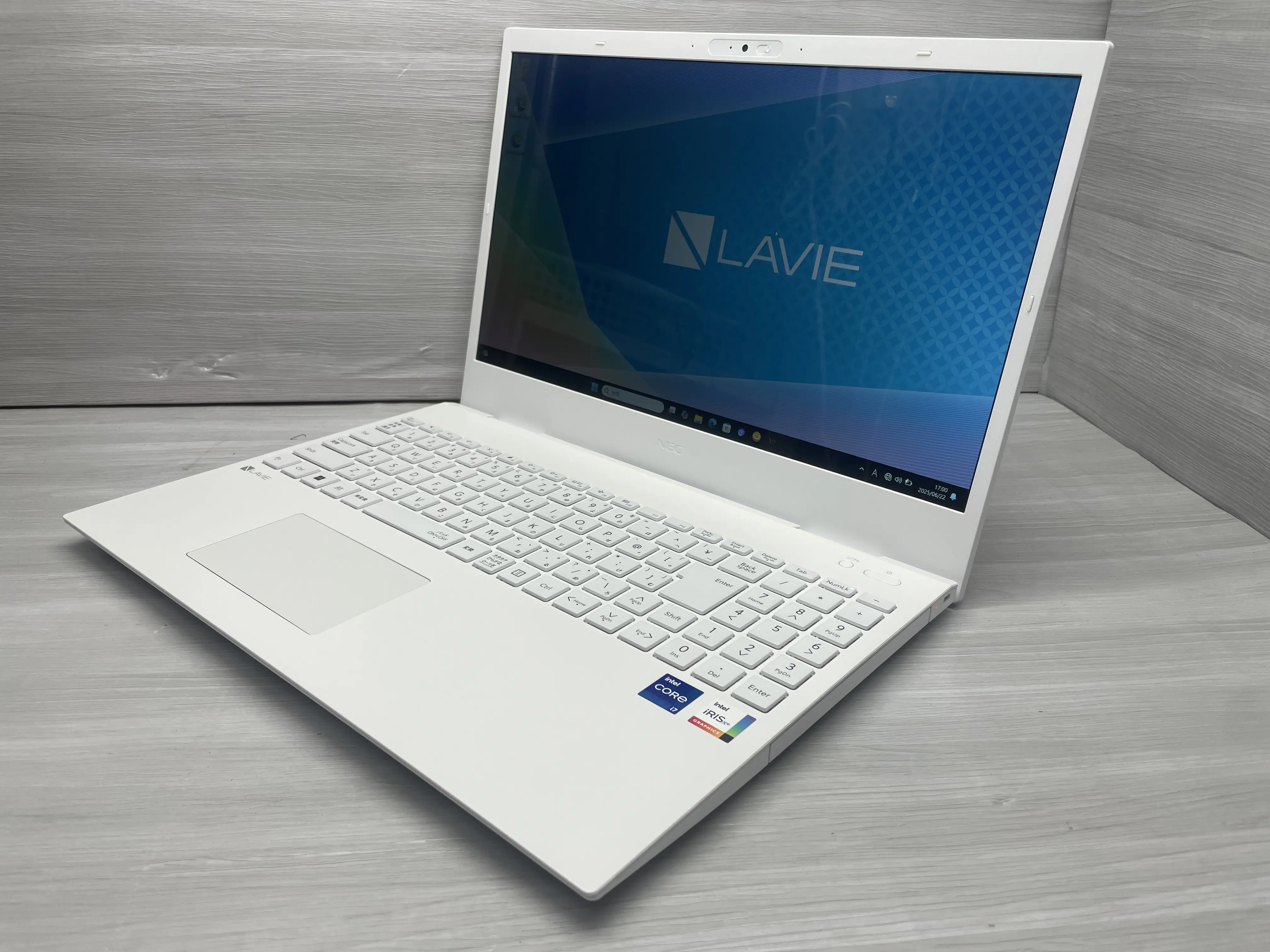 NEC LaVie Direct PC-GN1176ADAZ(第12世代CPU) Windows11 Home