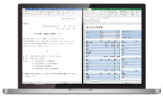 Microsoft Office 2024