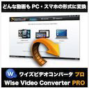 Wise Video Converter Pro