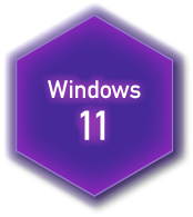 Windows 11