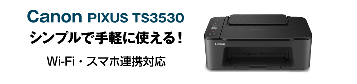 Canon PIXUX TS3530