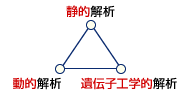 未知の脅威に対する高い検出力